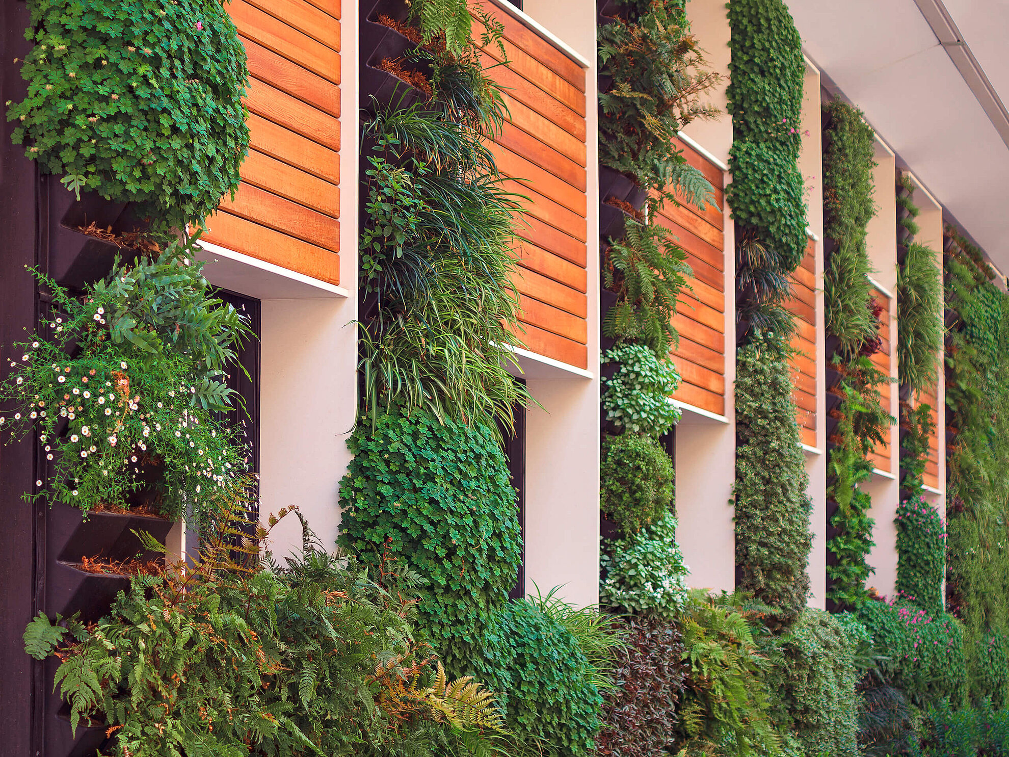 Nachhaltiges Wohnen mit begrünten Fassaden